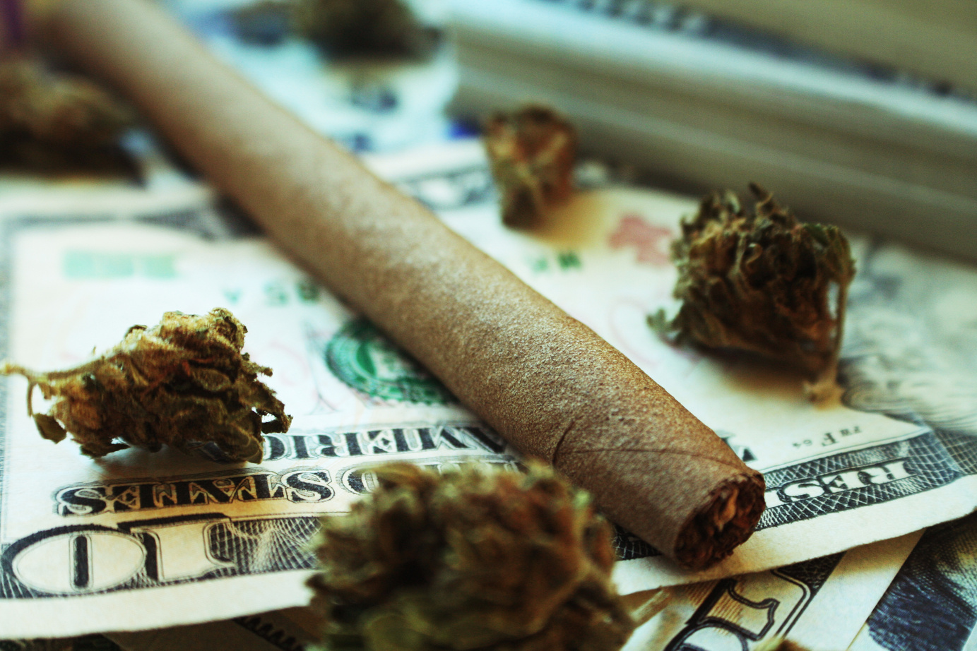 Marijuana Profits With Blunt & Money
