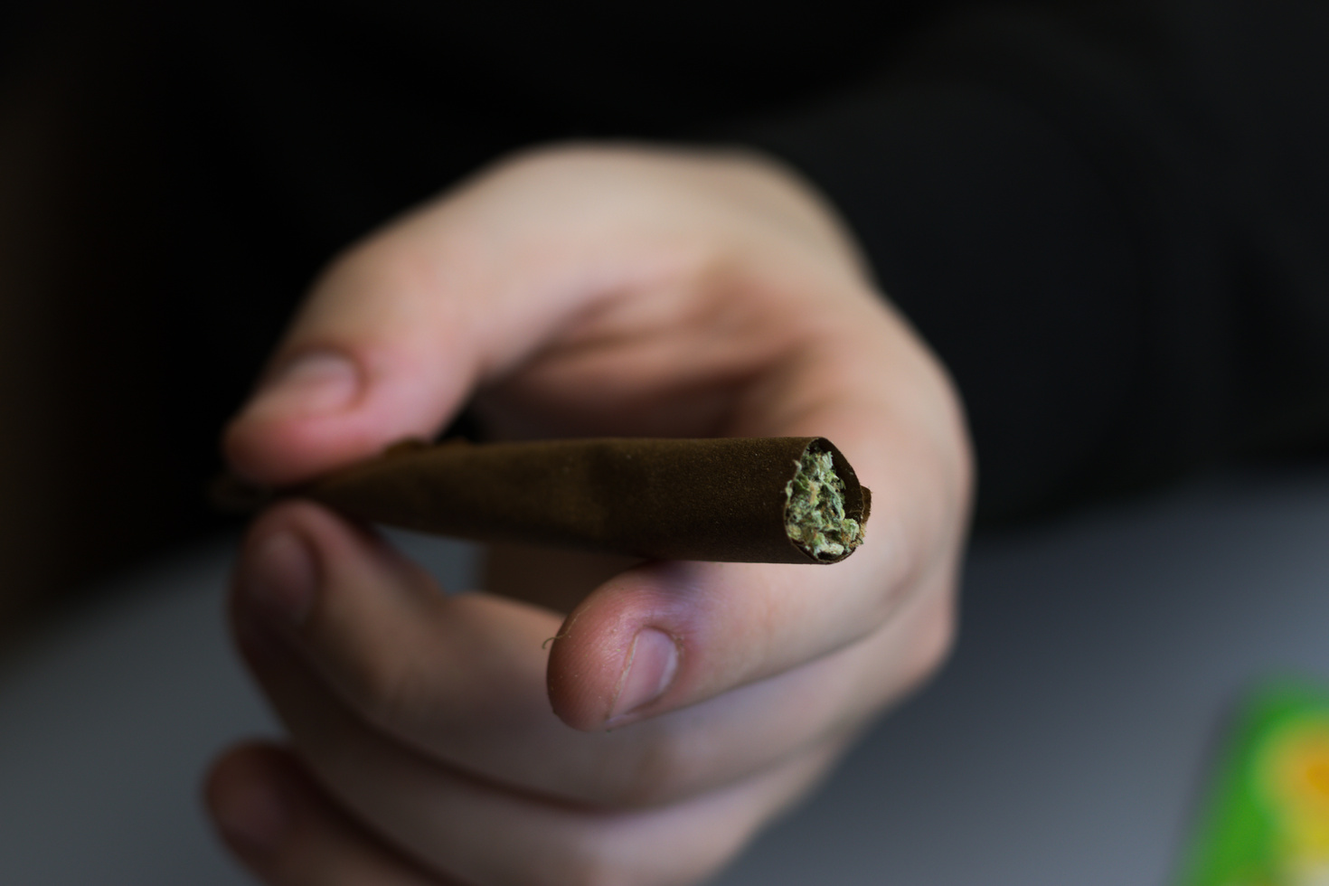 Cannabis blunt or joint close-up. Marijuana rolled in paper